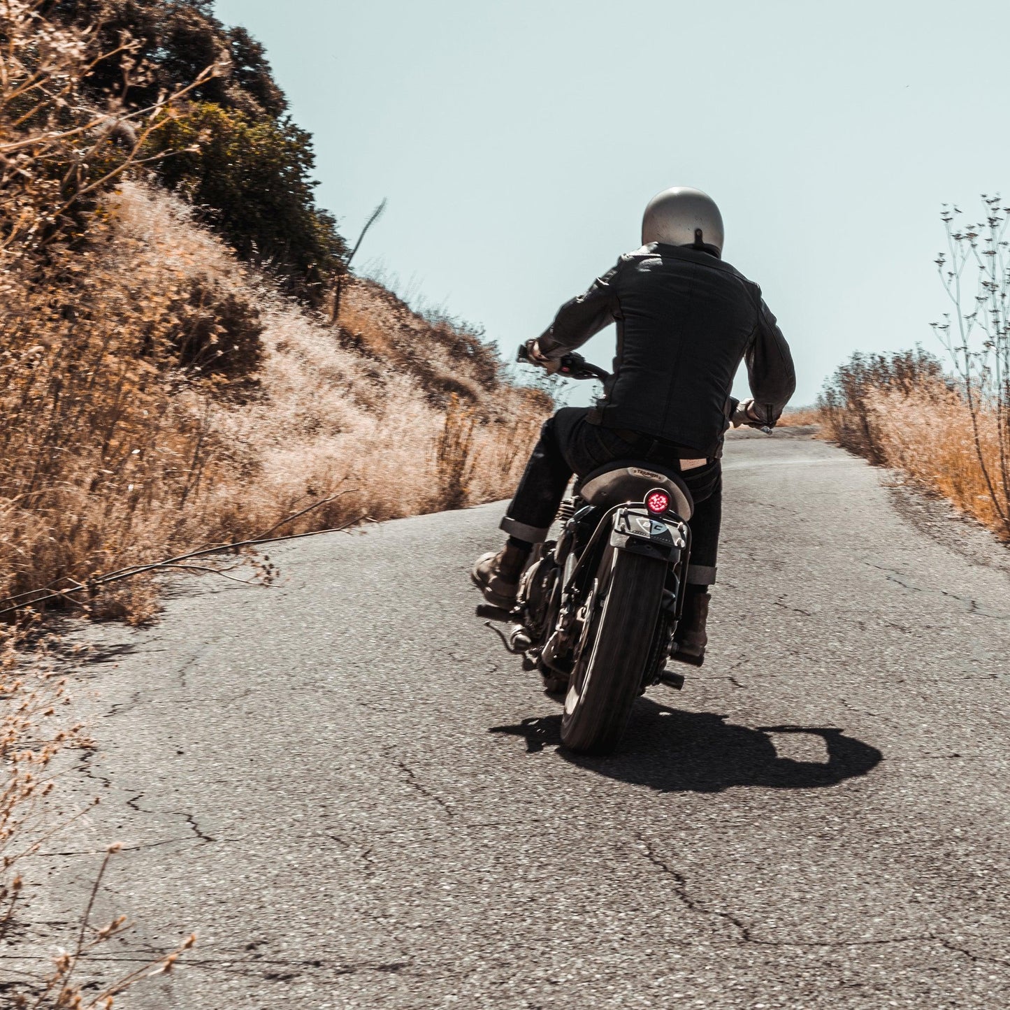 Plug & Play Pan Tail Light for Triumph Bobber