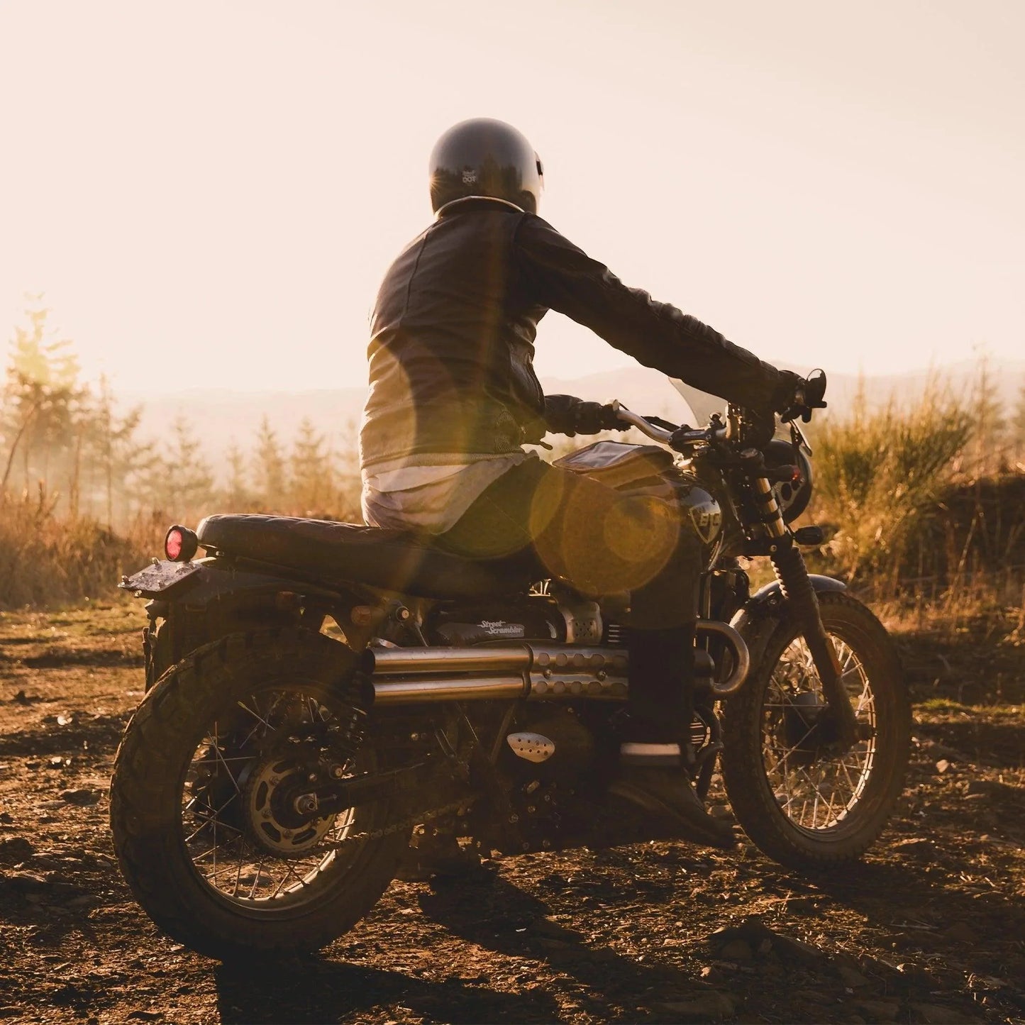 Shotgun Slip On Exhaust for Triumph Street Scrambler & Scrambler 900